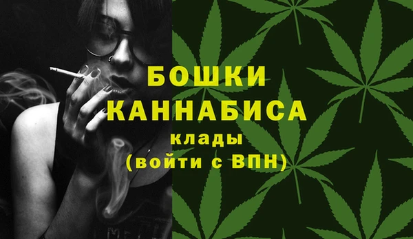 СК Волосово