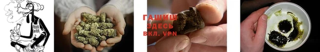 прущие грибы Вяземский