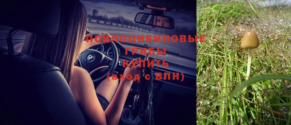 СК Волосово