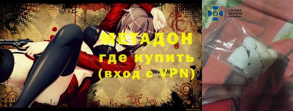 прущие грибы Вяземский