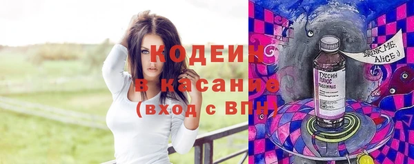 прущие грибы Вяземский